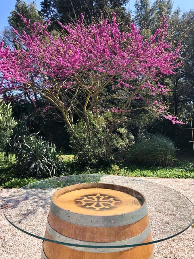Le Nid Des Corbieres Bed & Breakfast Bizanet Luaran gambar