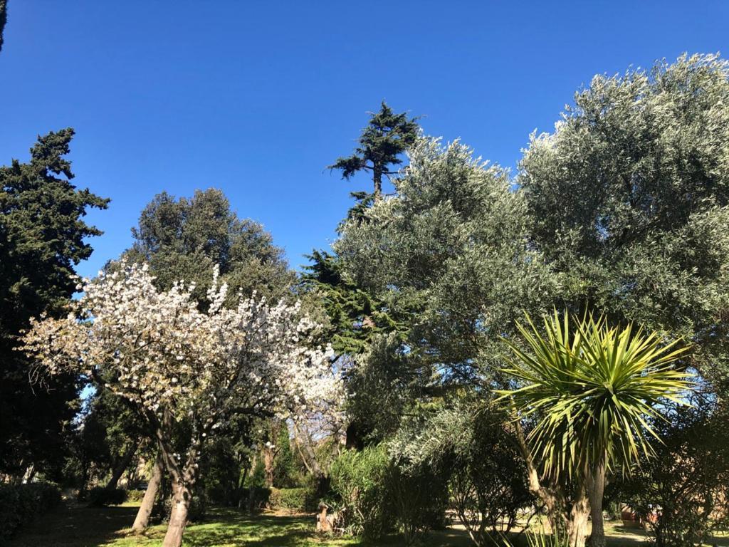Le Nid Des Corbieres Bed & Breakfast Bizanet Luaran gambar
